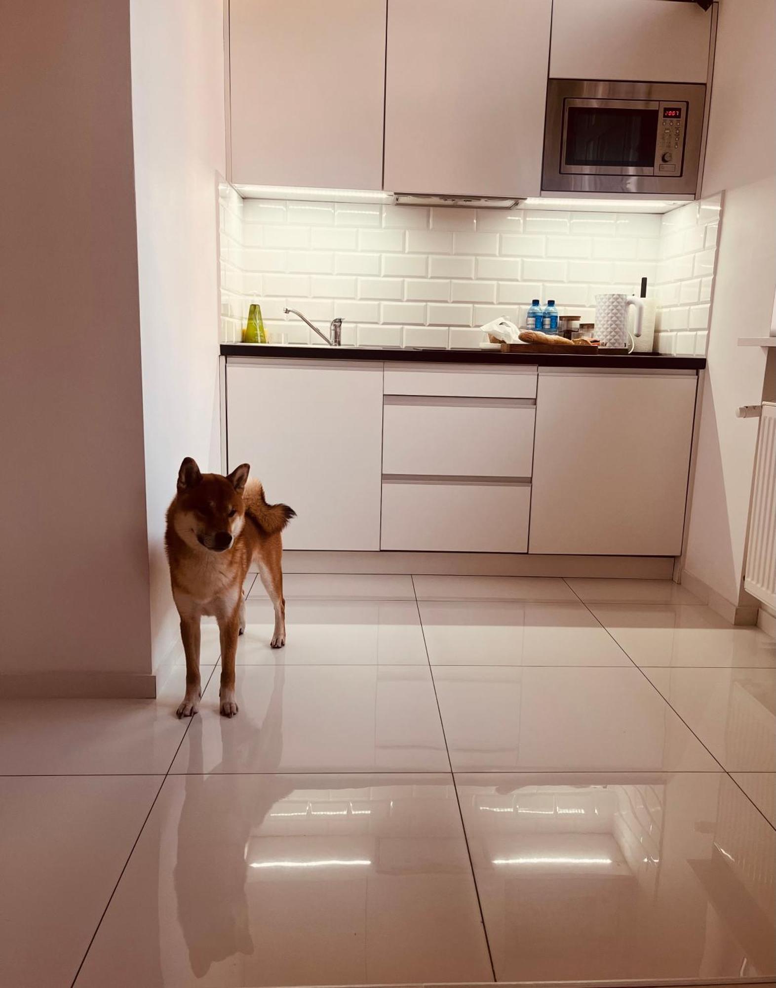 לודז' Apartament I Love Piotrkowska Z Wielkim Lustrem, Balkonem I Klimatyzacja מראה חיצוני תמונה