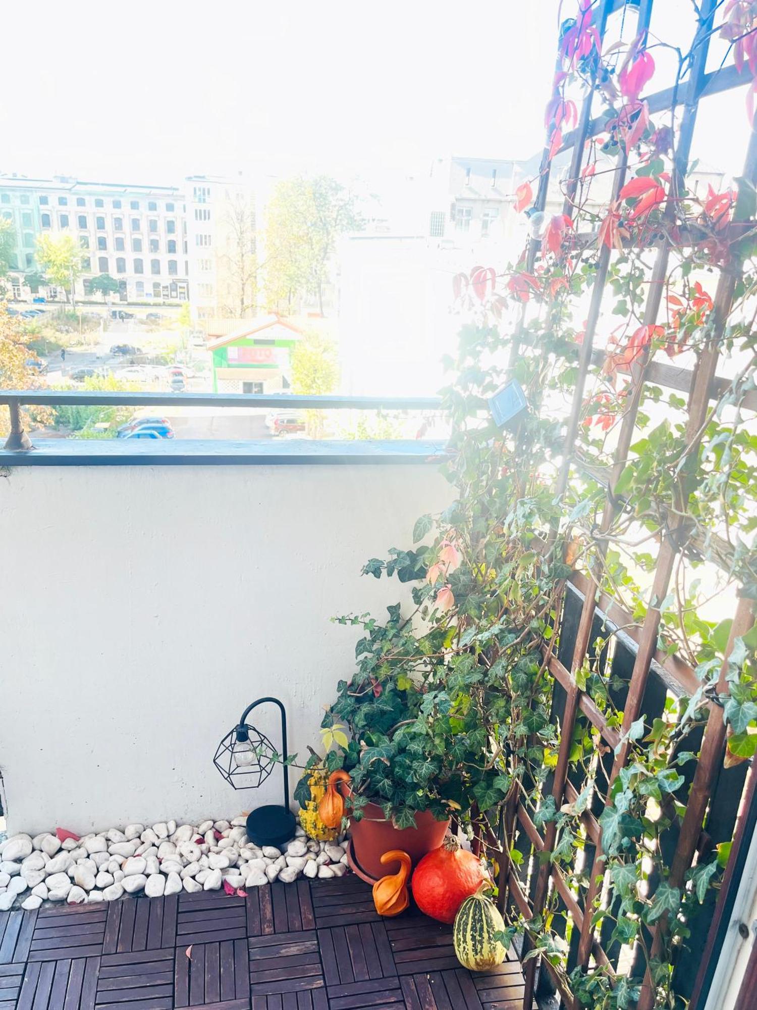 לודז' Apartament I Love Piotrkowska Z Wielkim Lustrem, Balkonem I Klimatyzacja מראה חיצוני תמונה
